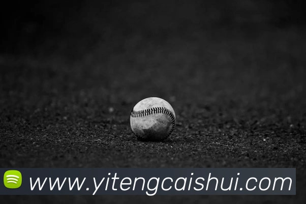 世界杯官网平台平台生态图